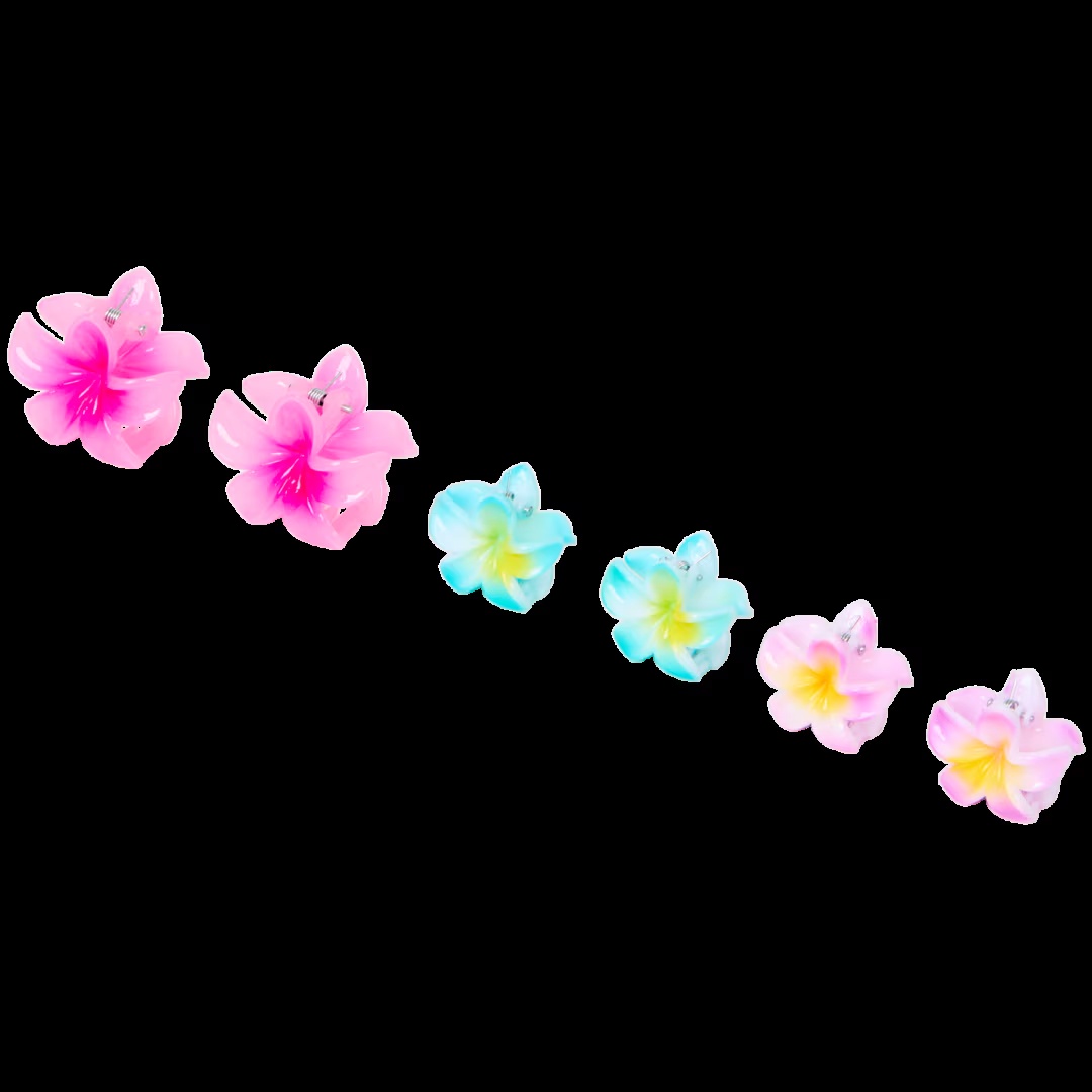 Clips para el pelo