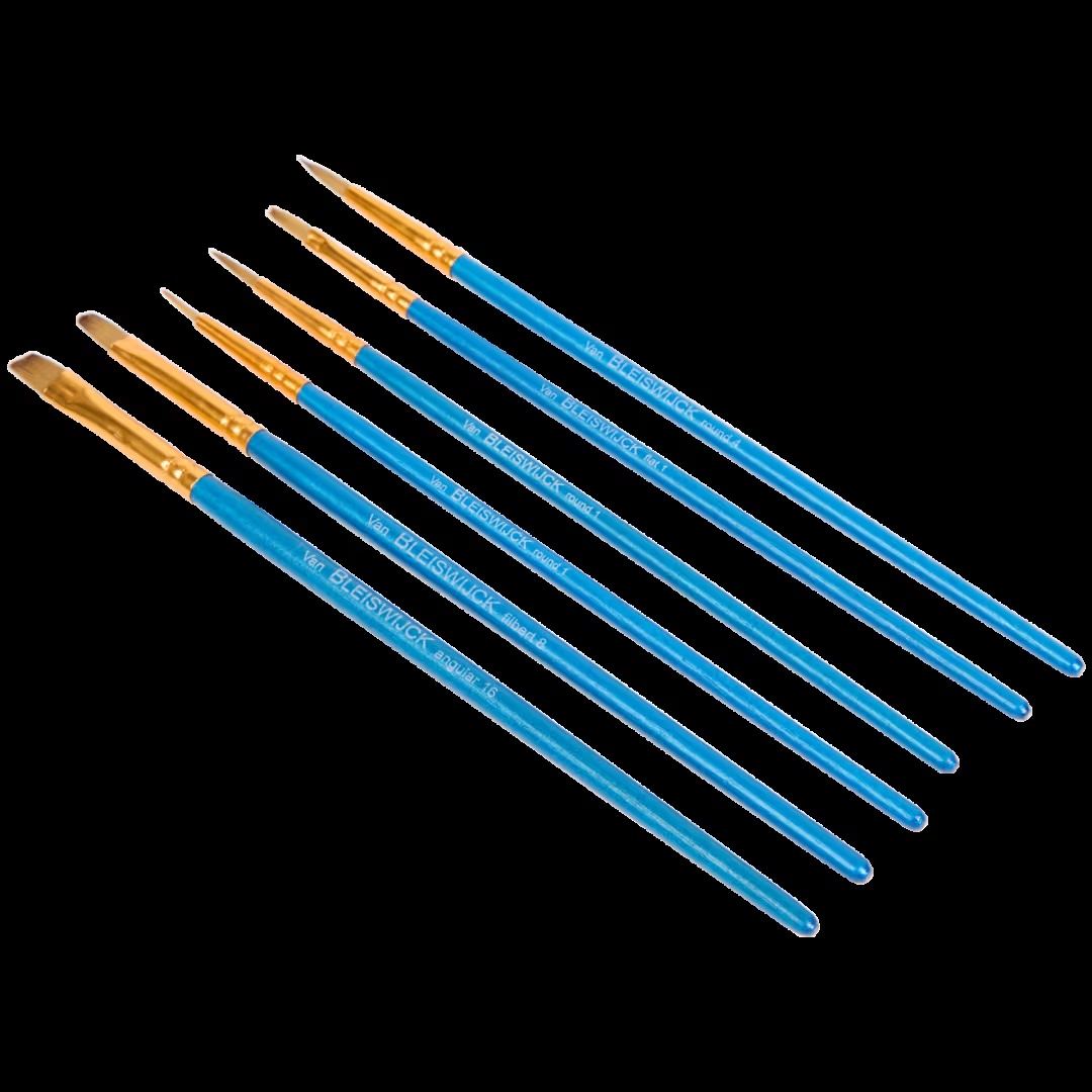 Juego de pinceles Van Bleiswijck